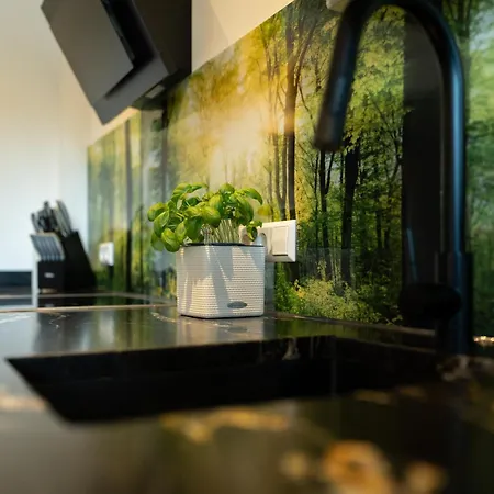 Hirschen Apartamento Löffingen