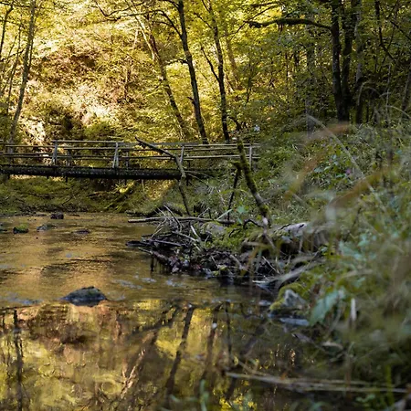 Apartmán Hirschen *