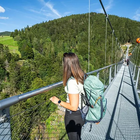 Apartmán Hirschen *