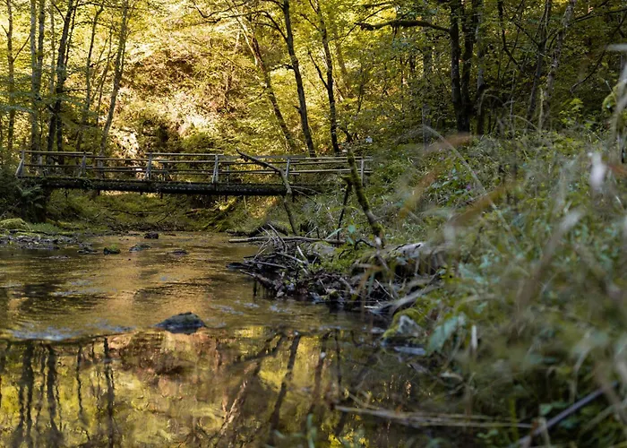 Apartmán Hirschen *