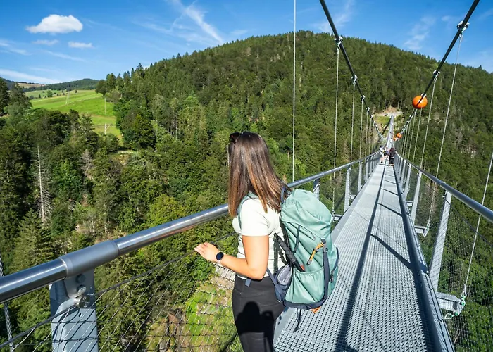 Apartmán Hirschen *